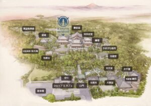 hasedera1