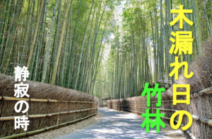 bamboo