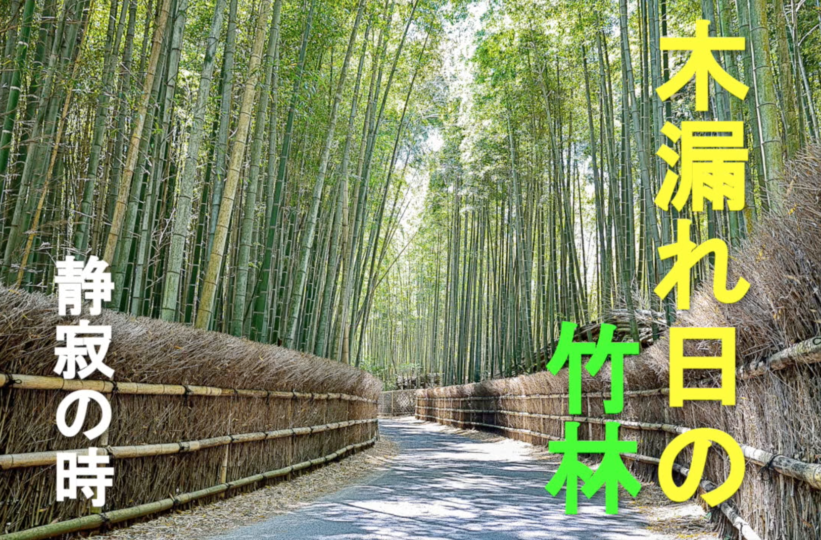 bamboo